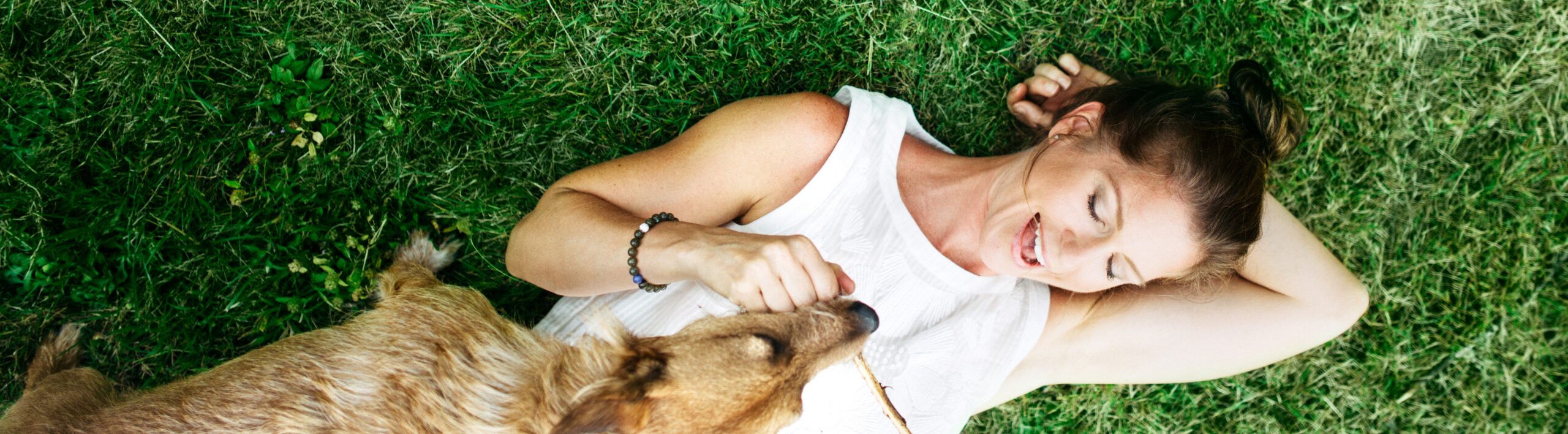 Blend_Home_Header_a perfect blend