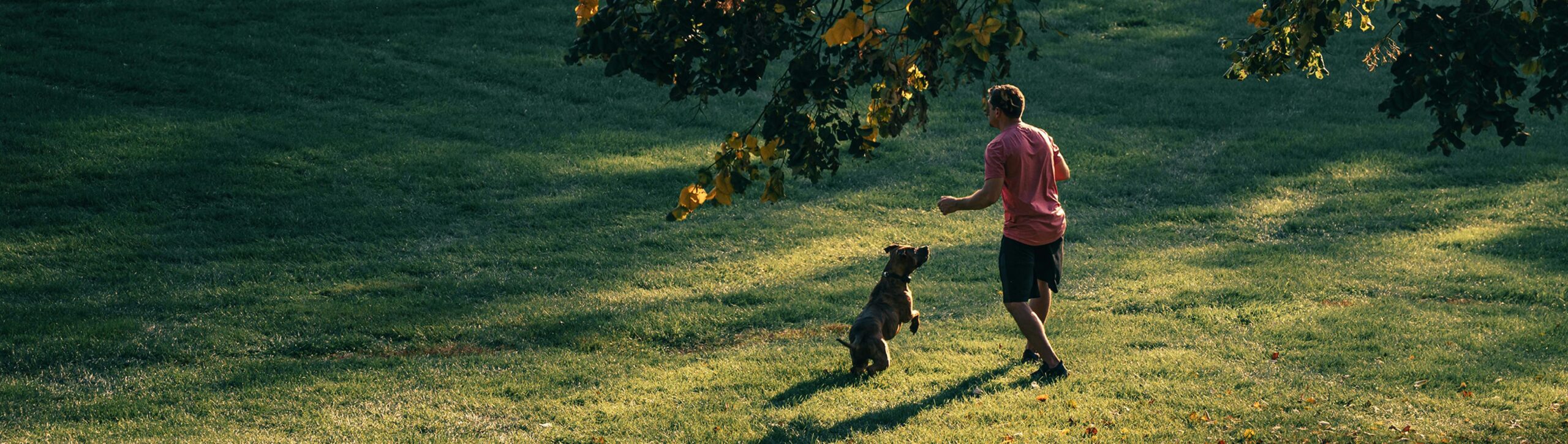 Blend_Locatie_Centrale ligging